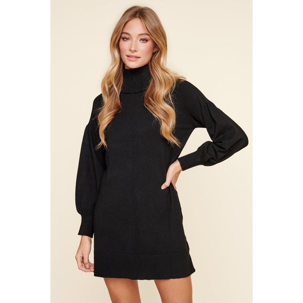 Arianne Turtleneck Sweater dress